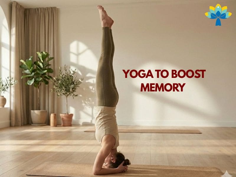 Yoga for memory and concentration improving brain power naturally